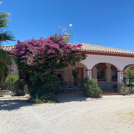 Villa Entre Mer Et Montagne Arcos de la Frontera Εξωτερικό φωτογραφία