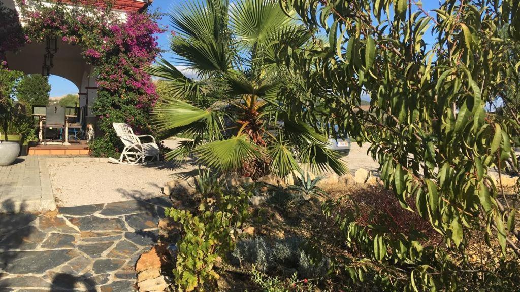 Villa Entre Mer Et Montagne Arcos de la Frontera Εξωτερικό φωτογραφία