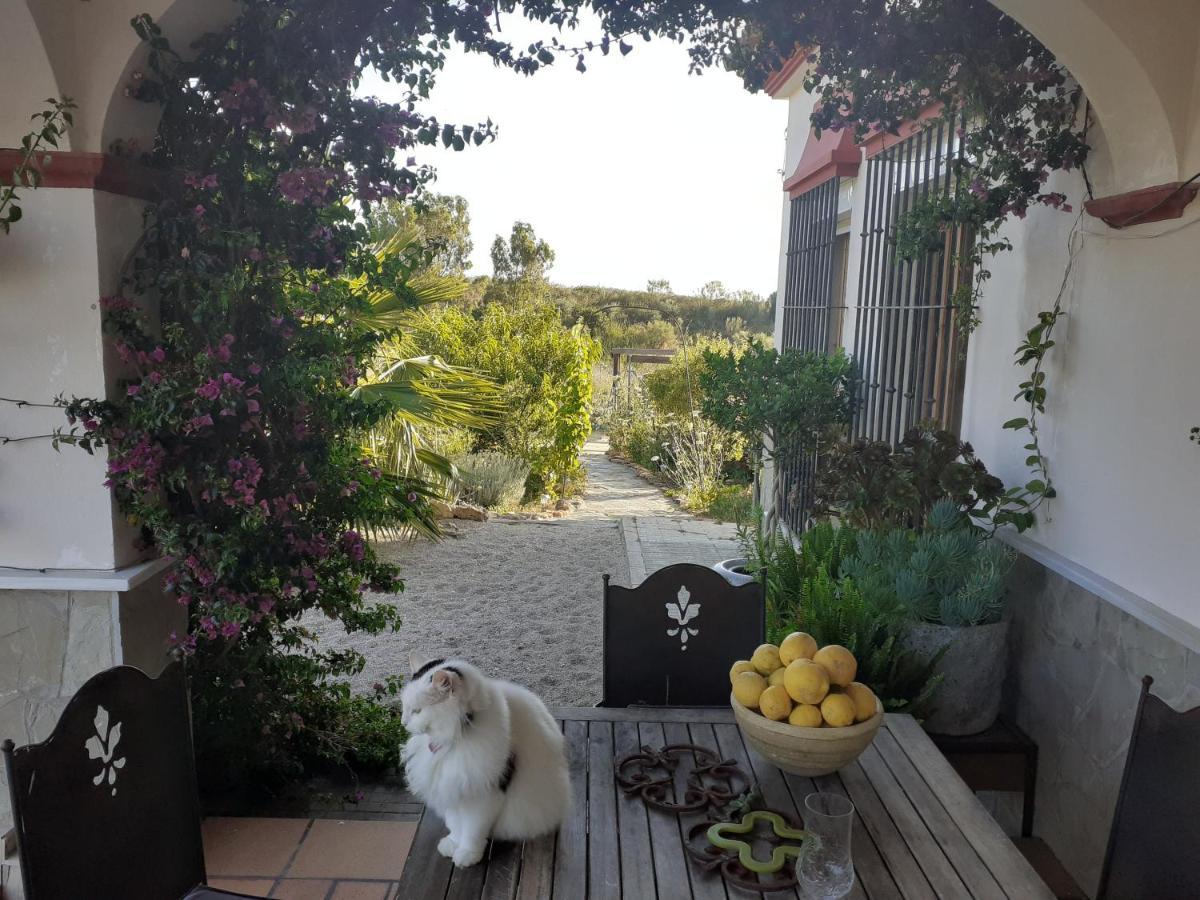 Villa Entre Mer Et Montagne Arcos de la Frontera Εξωτερικό φωτογραφία