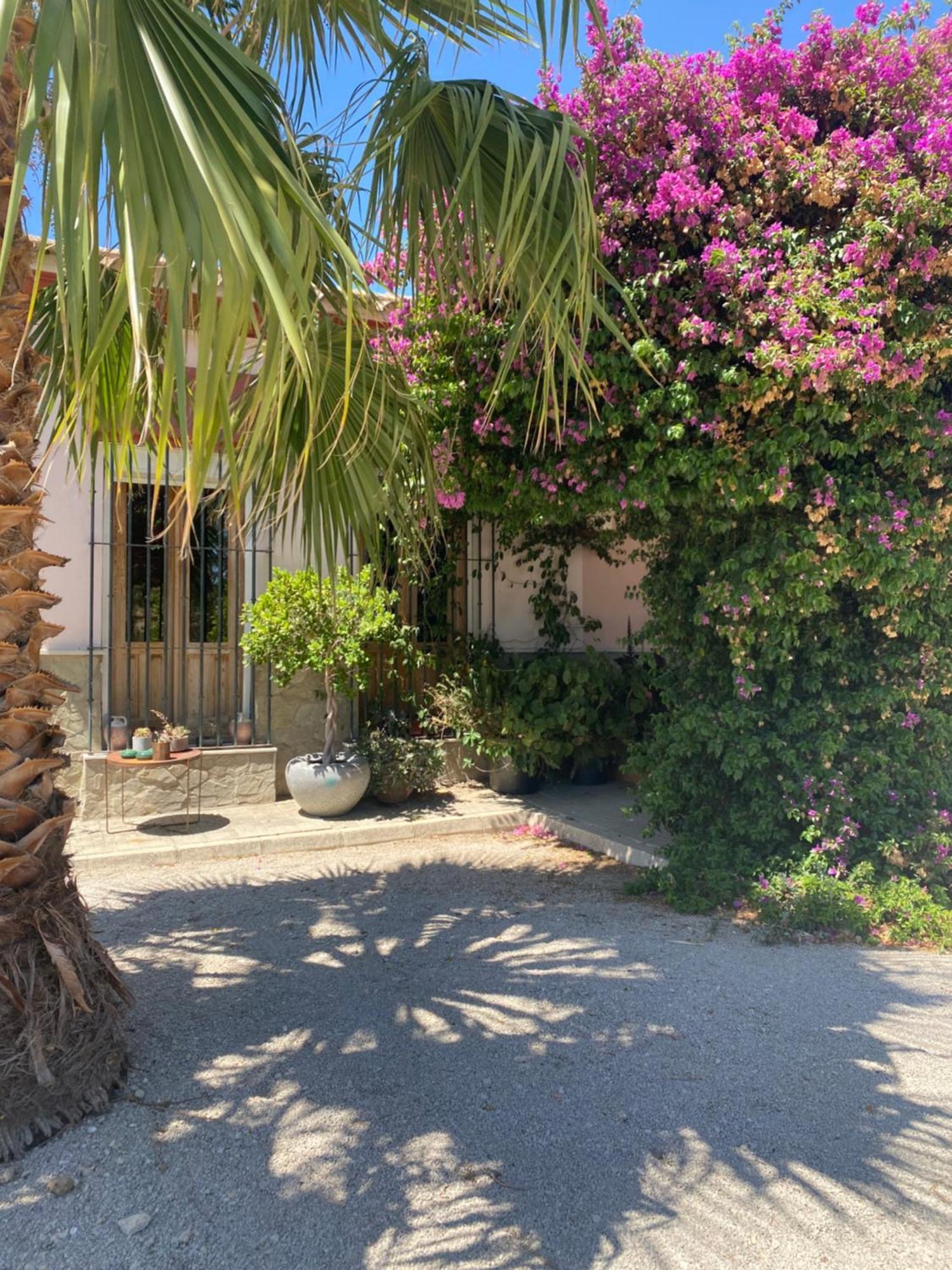 Villa Entre Mer Et Montagne Arcos de la Frontera Εξωτερικό φωτογραφία