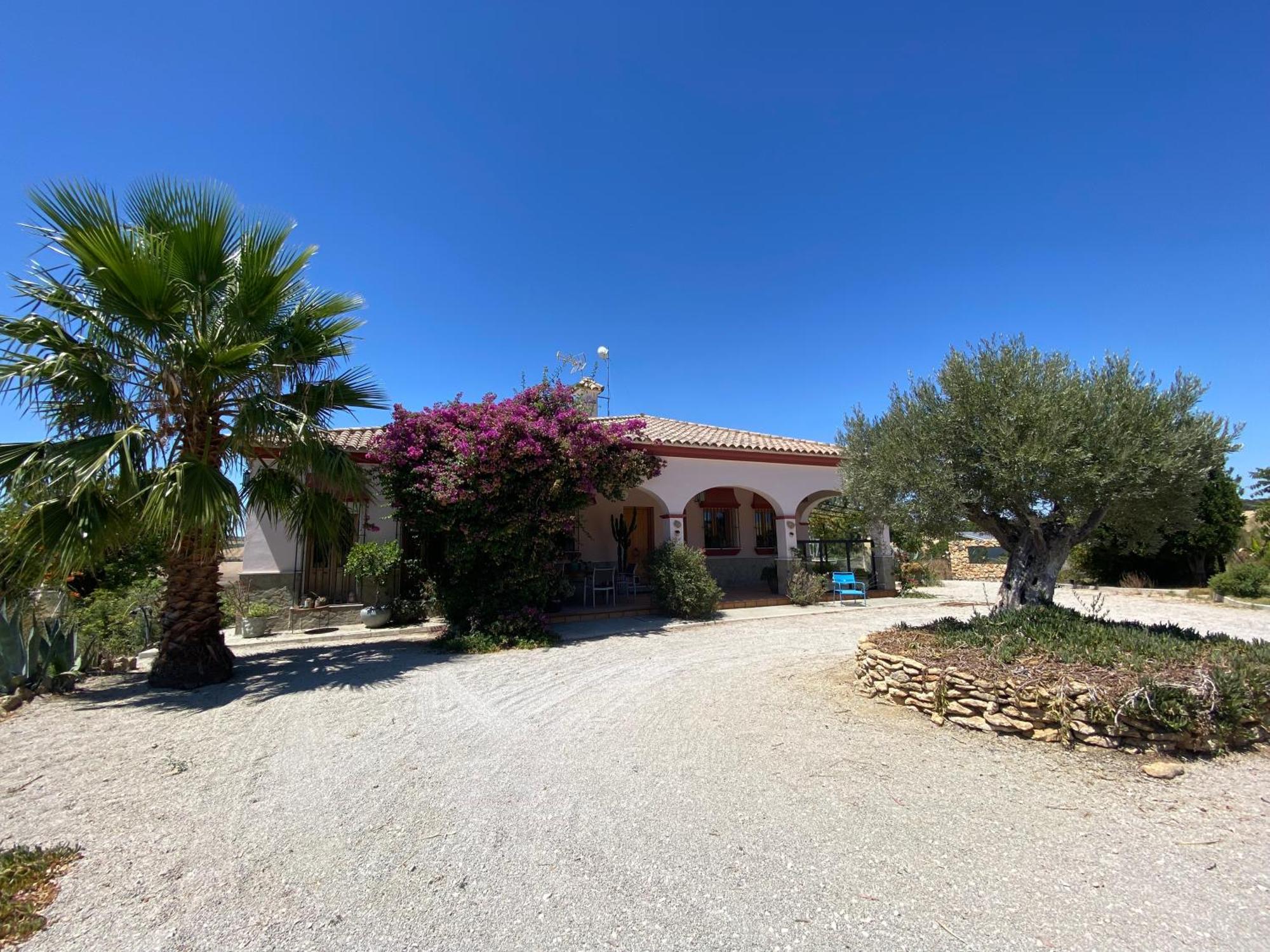 Villa Entre Mer Et Montagne Arcos de la Frontera Εξωτερικό φωτογραφία